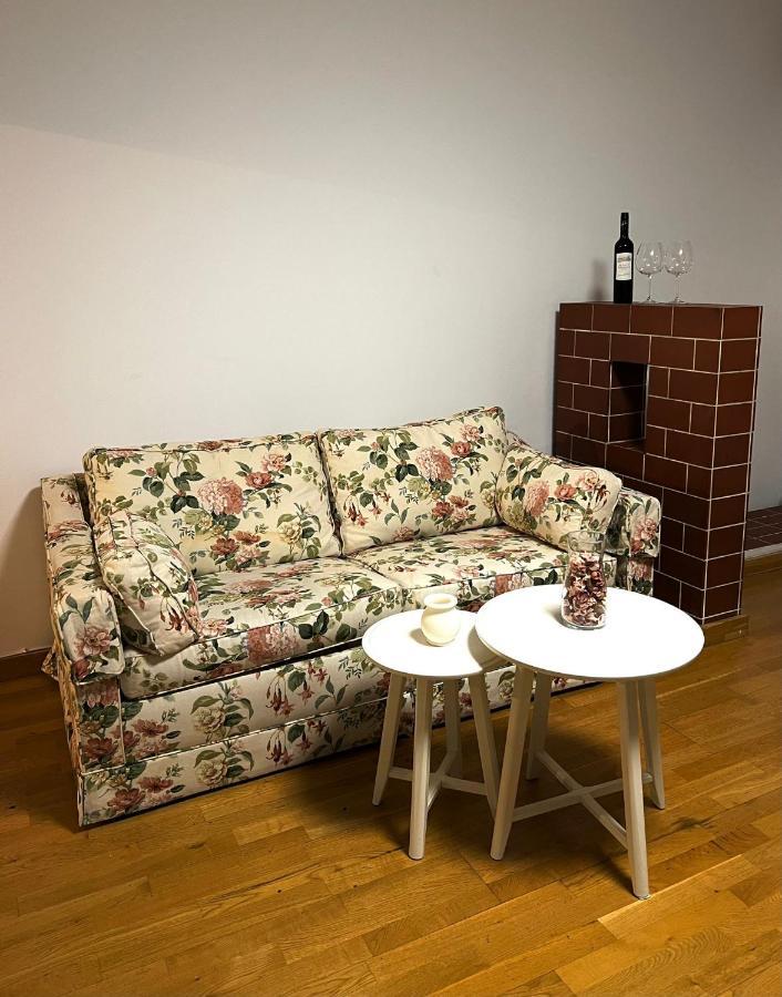 Spacious Apartment With Terrace 维也纳 外观 照片
